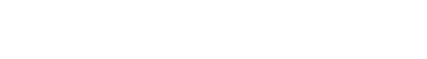 Plus Finaet